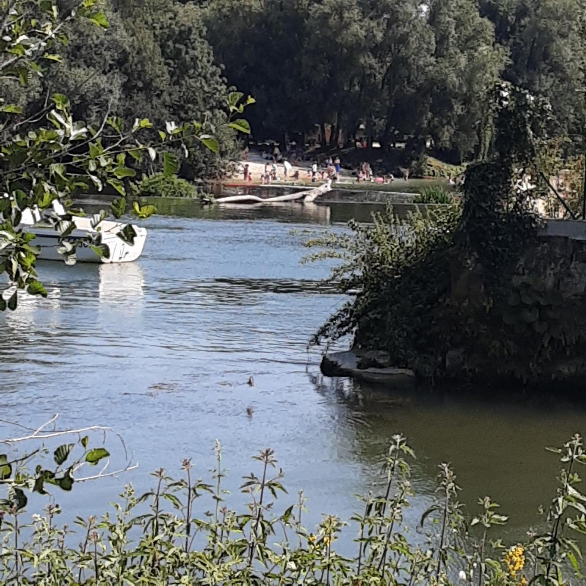 Châteauneuf-sur-CharenteAnnexe Du Pont De La Charenteアパートメント エクステリア 写真