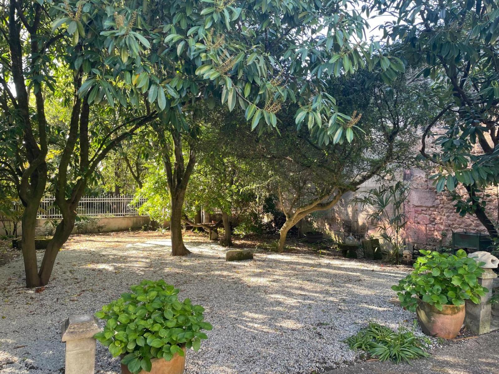 Châteauneuf-sur-CharenteAnnexe Du Pont De La Charenteアパートメント エクステリア 写真
