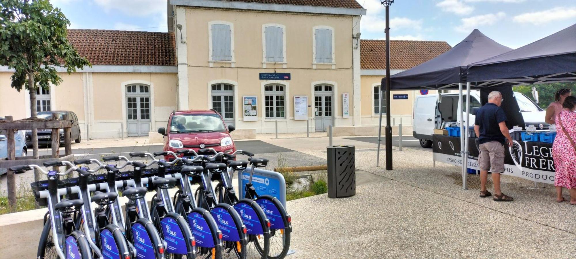Châteauneuf-sur-CharenteAnnexe Du Pont De La Charenteアパートメント エクステリア 写真